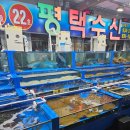 친구추천 초대코드 추천인 코드 ID 그리고 이용후기, 1박 2일 대천/홍성 여행, 대천해수욕장 맛집...