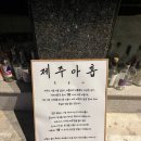 씨유 강릉교동율곡점 | 강릉 교동택지 혼술 성지! '제주아홉' 혼술바에서 즐긴 특별한 칵테일과 따뜻한 대화