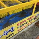 홍도회수산