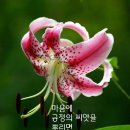 멋진하루 이미지