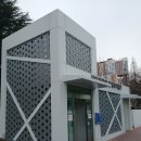 신트리로 이미지