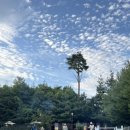 GS25 남애항점 이미지