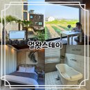 모던스테이 | 아름다운 뷰와 감성 인테리어가 돋보이는, 제주 감성펜션 《멀왓스테이》