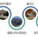 경주시티투어 이용해보세요 이미지