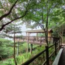 한양도성(남산구간) 이미지