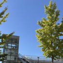 목포집 | 신촌세브란스맛집 :: 목포집 :: 갈치조림 백반 후기