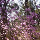 재근농장 이미지