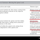 강북동물병원 이미지