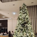 한화리조트 거제 벨버디어 | 거제 숙소 &#34;한화리조트 거제 벨버디어&#34; 스위트룸 숙박 후기