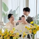 NR-17[청남로]-상-304 | [돌끝맘] 고생했어 포도야