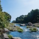 계곡여행 이미지