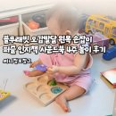 재미 쏙쏙 책놀이 | 블루래빗 오감발달 원목 손잡이 퍼즐 인지책 사운드북 4주 놀이 후기