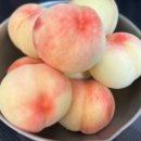 연정농장 이미지