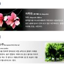 충원고등학교 | (일반고) 충원고등학교 2026 신입생 입학안내, 학교안내