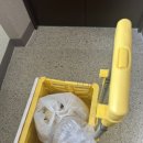 압골농장 | 출산휴가 시작한 심심한듯 안심심한 34주 증상과 일상😉