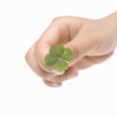 백석대학교 보건복지대학원 이미지