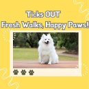 아마존펫 이미지