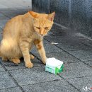 천등산(평택) 이미지
