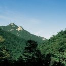 안녕하신지 이미지