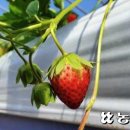 진주북부농업협동조합 이미지