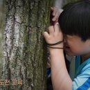 진주교육대학교부설초등학교 이미지