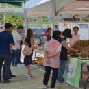 남해주말 이미지