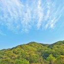 황토마루 이미지