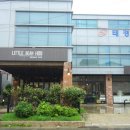 리틀 빈후 이미지