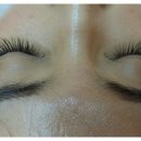 나비네일 이미지