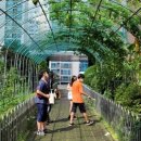 안양서중학교 이미지