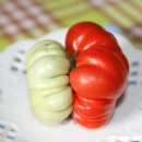 쌍동이네