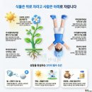 가온한의원 네이버블로그