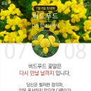 이가푸드