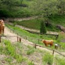 황부자 며느리 친정가는 둘레길 이미지