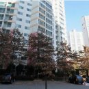 대림1등공인중개사사무소 | 북구화명동아파트경매/ 대림쌍용강변타운경매 32평형 1회유찰70% 수정역역세권 입구동 2025타경101822