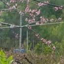 대은농장 이미지