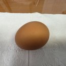김밥에빠진유부 | 고도비만 마운자로 2.5mg 1주차 후기 -3kg 감량 소소한 부작용 있음