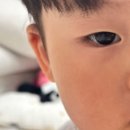 메디아토 이미지