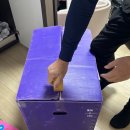 동해유치원 | 동해 포장이사 개미익스프레스 이용후기 / 이사시간 &amp; 짐 정리는 어디까지?