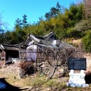 삼지재 이미지