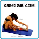 스트레칭 이미지