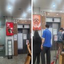 명동 가볼 만한 곳 다이소 명동역점 12층 투어