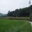 이레농장