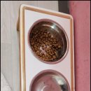 고양이 행복 쉼터 이미지