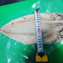 모여라포차 이미지