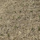 홍산농장 이미지