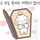 경성시장 가산점 이미지