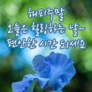 토요일 이미지