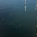 갤러리호텔(통영갤러리관광호텔) 이미지