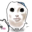 여주-0508 | 데블스플랜은 안보고 데뷔스플랜은 봤어요